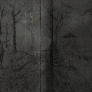 Paisaje “En la oscuridad suceden cosas”