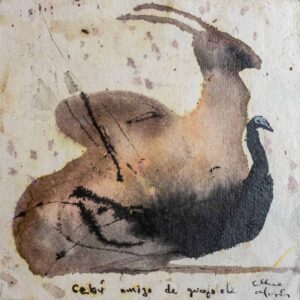 Cebu: amigo del guajalote