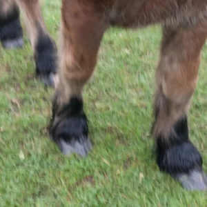 Memorias de mi infancia CIII