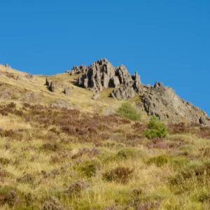 Memorias de mi infancia CXII