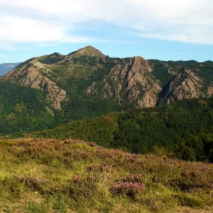 Memorias de mi infancia CXIII