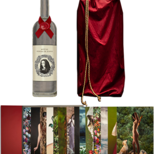 Purchase of $600 USD