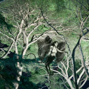 La Harpie en el Retiro